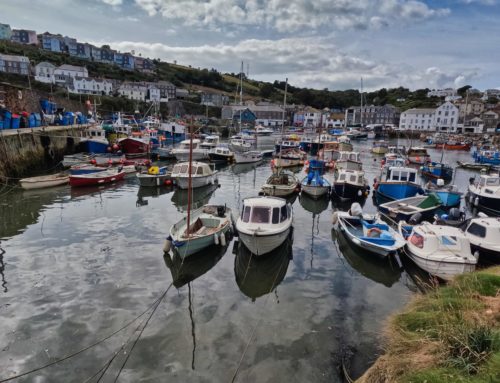 Cornwall Seafood Guide: What to Try, Where to Buy