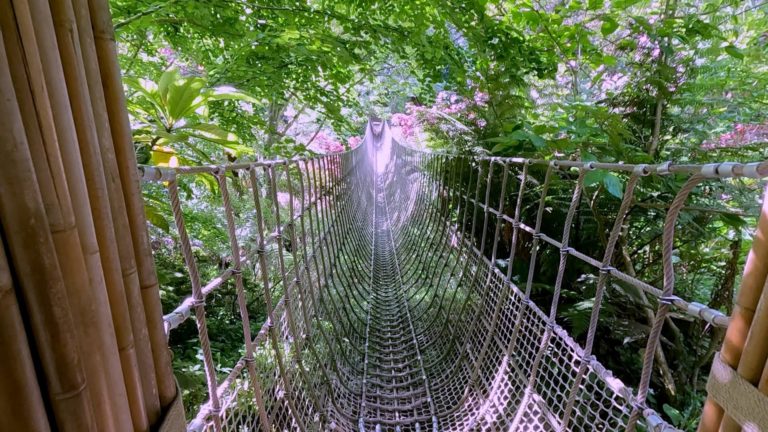 The Lost Gardens of Heligan Rope Bridge 768x432