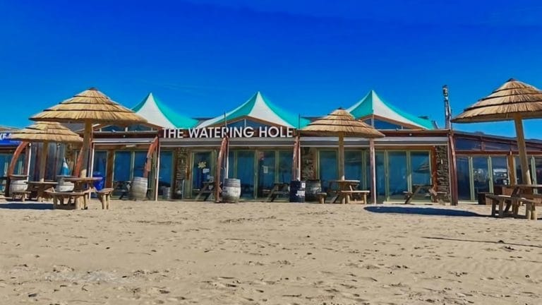 The Watering Hole min 768x432