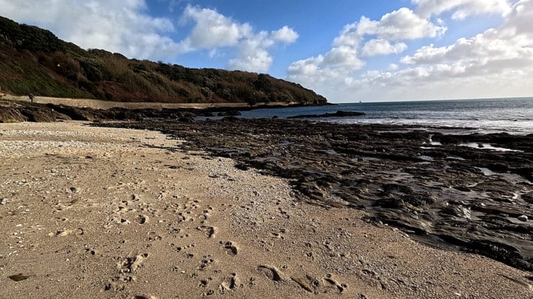 Buoys Rock Beach 768x432