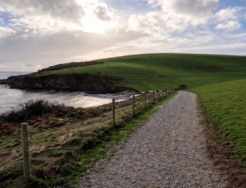 12 Half-Day South West Coast Path Walks in Cornwall