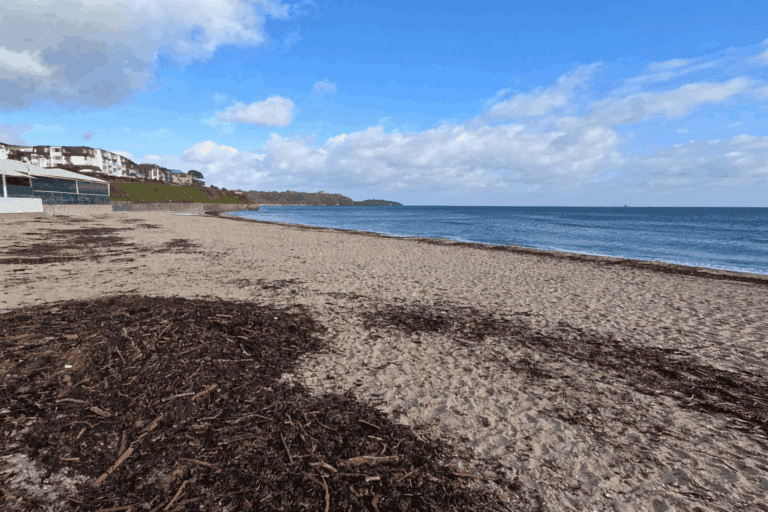 Gyllyngvase Beach 768x512