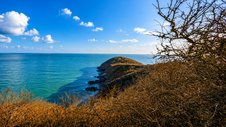Black Head 768x432