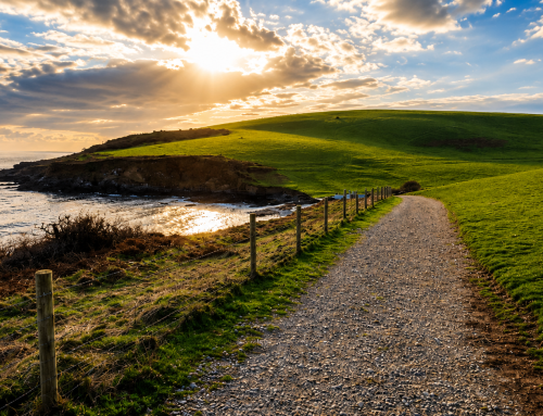 Half Day Coast Path Walks Cornwall (12 That Actually Work)