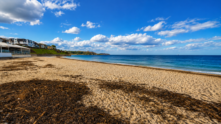 Gyllyngvase Beach 768x432