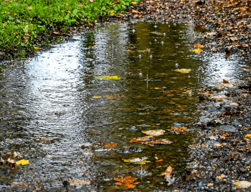 Things to Do in Cornwall When It Rains: Rainy Day Ideas That Actually Work