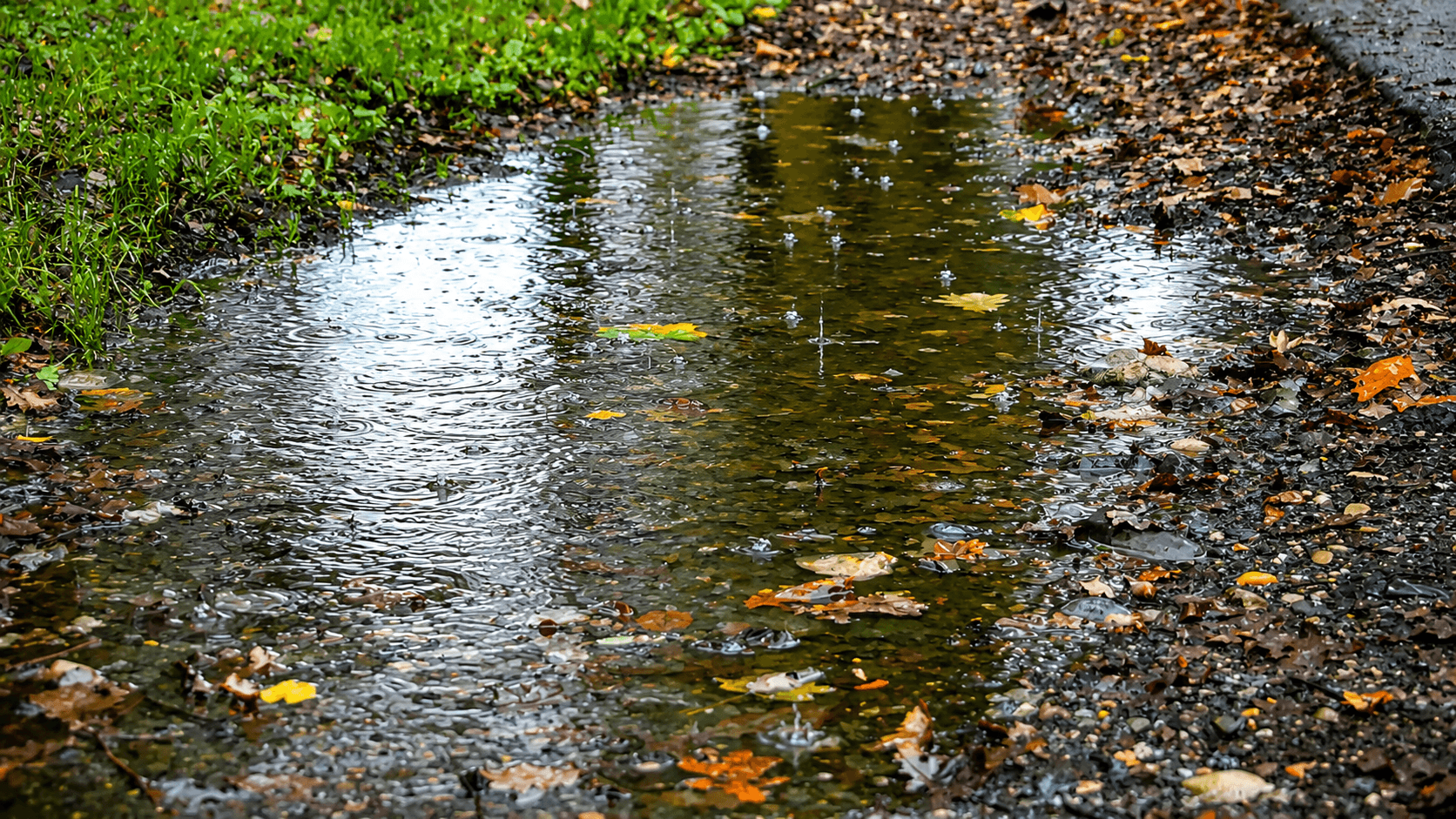 Rain falling into a puddle on a wet path
