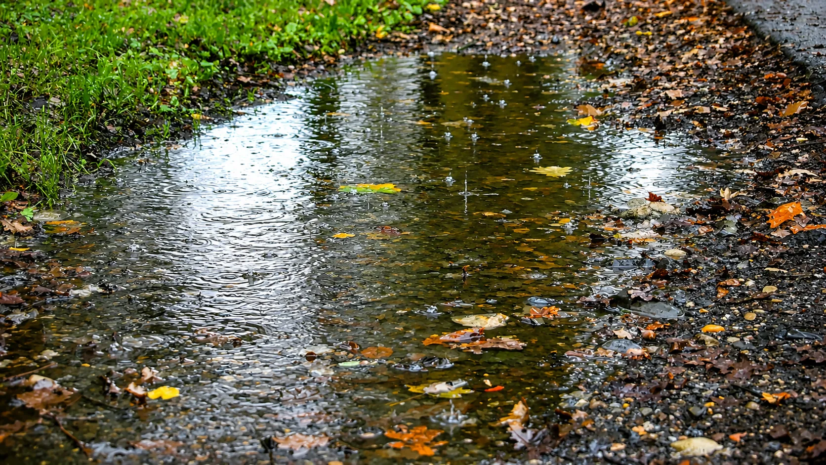Rain falling into a puddle on a wet path