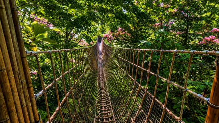 Heligan Gardens 768x432