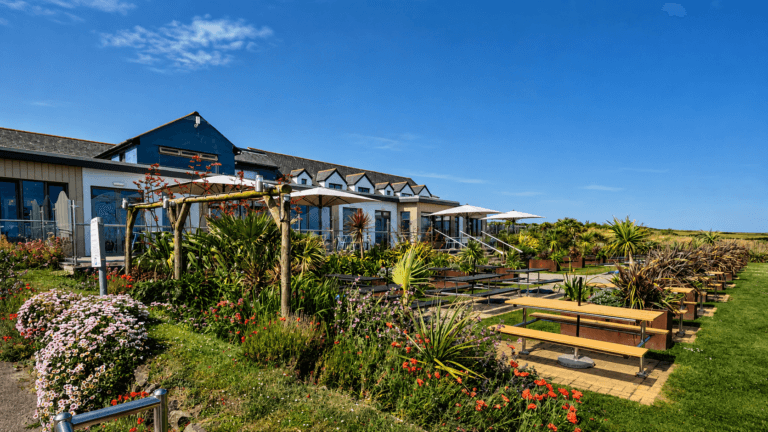 Bowgie Inn 768x432