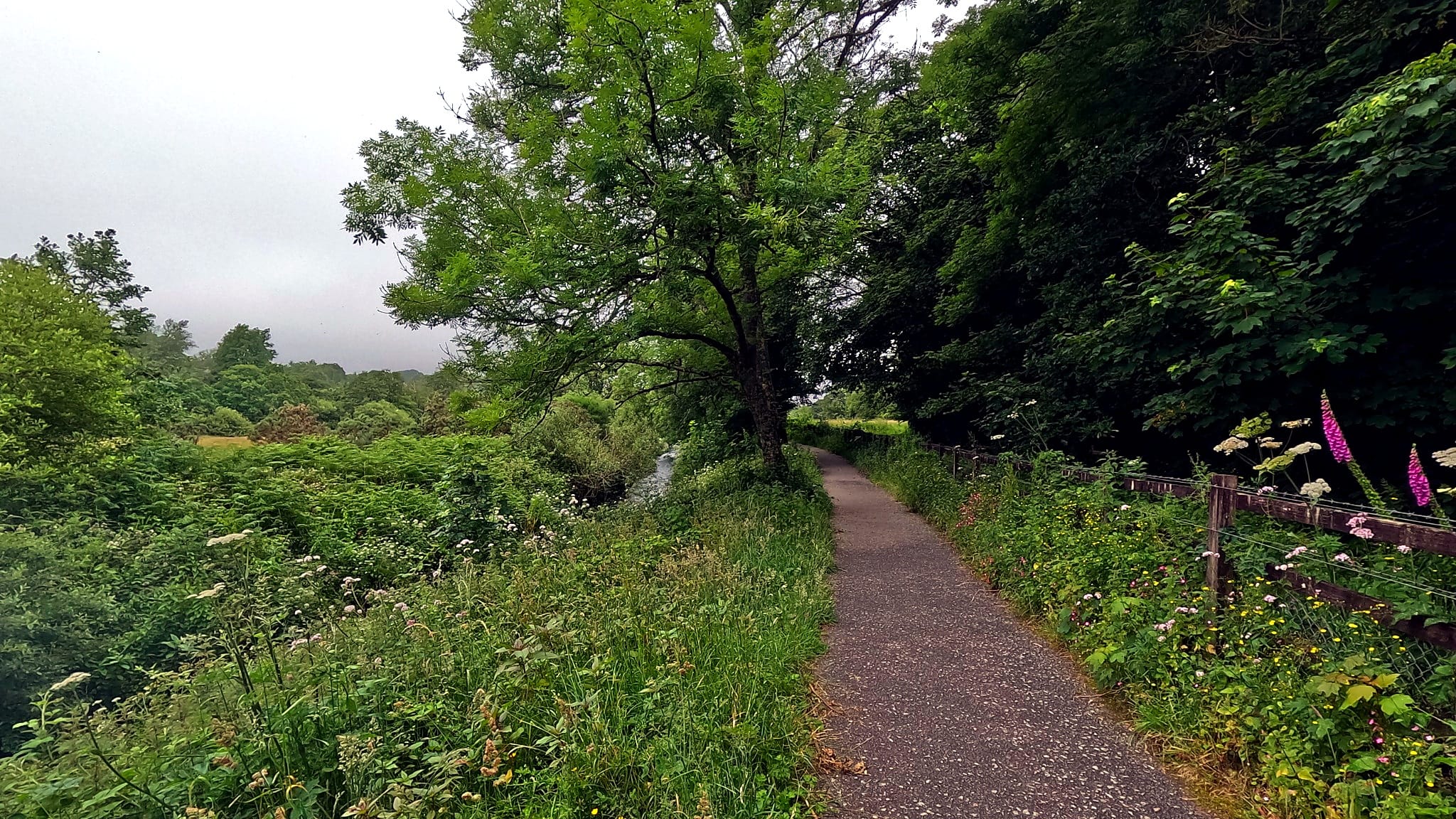 Pentewan Trail