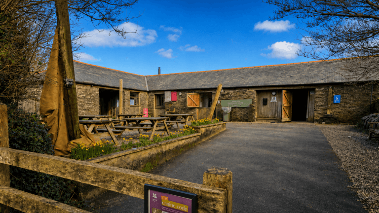 Porth Tea Room 768x432