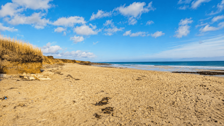 Towan Beach The Roseland 768x432